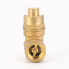 Magnetic Lock Non-Return Brass Gate Valve