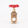 Bronze Gate Valve Side View