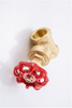Brass Gate Valve