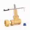 Magnetic Locking Upstream Brass Gate Valve
