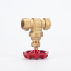 SL-1117 Ferrule Gate Valve