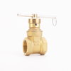 SL-1106HS Magnetic Locking Gate Valve