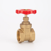 SL-1101 Bronze Gate Valve