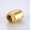 SL-7101 Vertical Check Valve