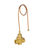 Differential Pressure Valve