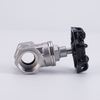 Stainless Steel Pipeline Valve