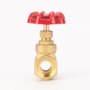 Brass Gate Valve