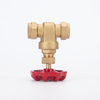 SL-1117 Ferrule Gate Valve
