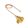 Differential Pressure Valve