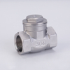 Stainless Steel Horizontal Check Valve