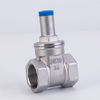 Stainless Steel Anti Tamper Gate Valve