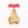 Brass Gate Valve