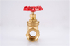 SL-1105 Bronze Gate Valve
