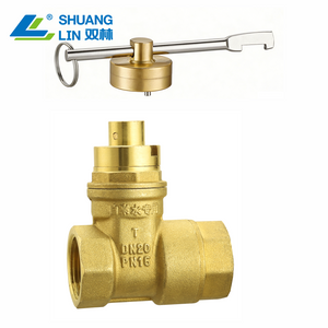 SL-1116S Magnetic Lock Non-Return Gate Valve