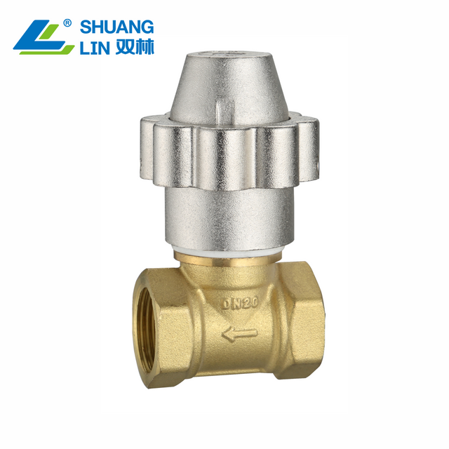 SL-2116 Magnetic Locking Regulating Valve