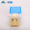 SL-2117 Electric Globe Valve