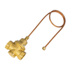 Differential Pressure Valve