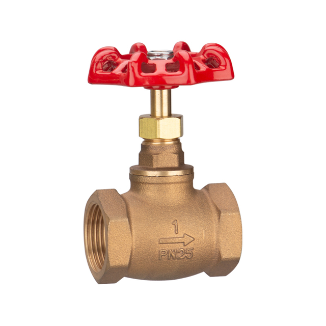 Bronze Globe Valve