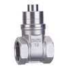 Stainless Steel Magnetic Lockable Gate Valve