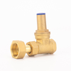 Mechanical Lock Non-Return Brass Gate Valve