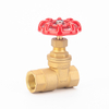 Non-Return Brass Gate Valve