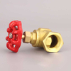 SL-2019H Globe Valve