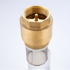SL-7101 Vertical Check Valve