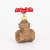 Bronze Gate Valve for Water Supply