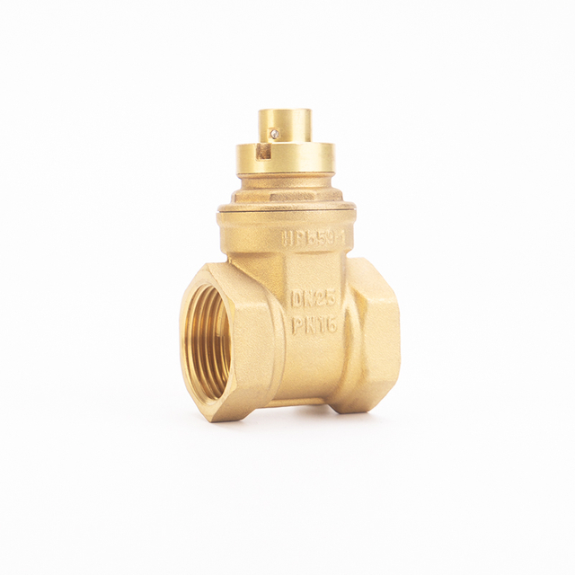SL-1106HS Magnetic Locking Gate Valve