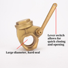 SL-1126 Quick-Opening Gate Valve