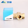 SL-2121 Electric Three-way Globe Valve