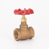 Bronze Water Globe Valve
