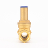 Mechanical Lock Non-Return Brass Gate Valve