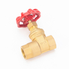  Non-Return Brass Gate Valve