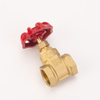 Brass Gate Valve