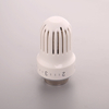 Thermostatic Head