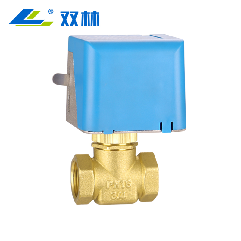 Electric Globe Valve