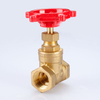 SL-1108 Bronze Gate Valve