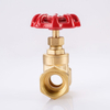 SL-1104 Bronze Gate Valve