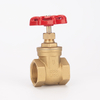 SL-1103 Bronze Gate Valve