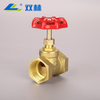 SL-2019L Globe Valve