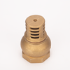 SL-7113 Foot Valve