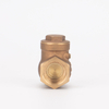 Bronze Water Check Valve