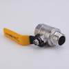 Stainless Steel Manual Ball Valve