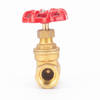  Non-Return Brass Gate Valve