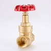 SL-1109 Gate Valve