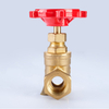 SL-1108 Bronze Gate Valve