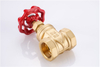 SL-1105 Bronze Gate Valve
