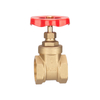 SL-1101 Bronze Gate Valve