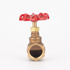 Bronze Threaded Globe Valve